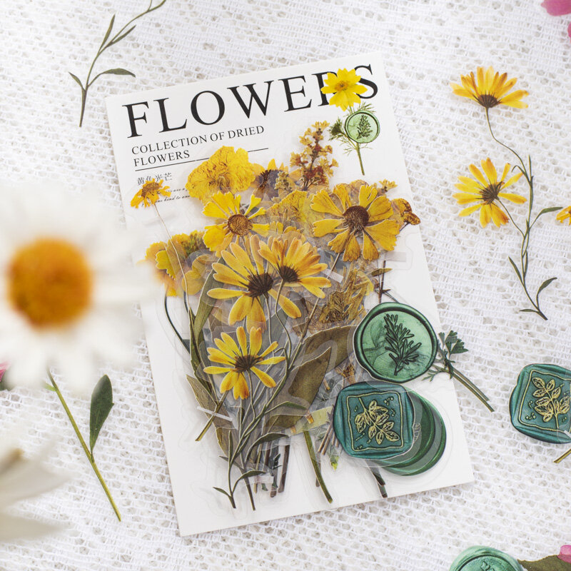 8paks/LOT kolekcja suszonych seria kwiatowa retro markery dekoracja albumu fotograficznego PET naklejka