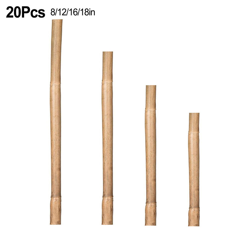 Estacas de suporte vegetal de bambu natural, reutilizáveis e resistentes, perfeitas para videiras, escaladores, vegetais e plantas, 20pcs