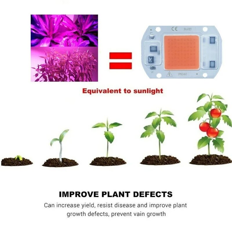 LED 성장 COB 칩 피토 램프, 풀 스펙트럼 110V/220V 20W 30W 50W 실내 식물 묘목 성장 및 꽃 성장 조명