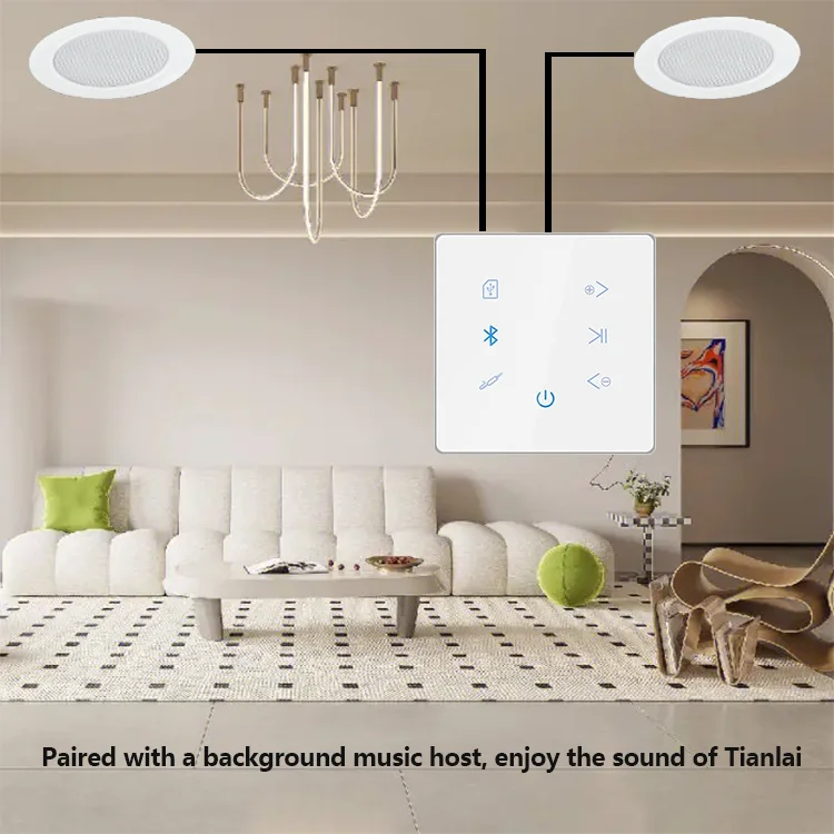 3 Inch 6W Plafond Speaker Achtergrond Muziek Systeem Badkamer Vochtbestendige Aluminium Mode Goede Geluidskwaliteit Loundspeake