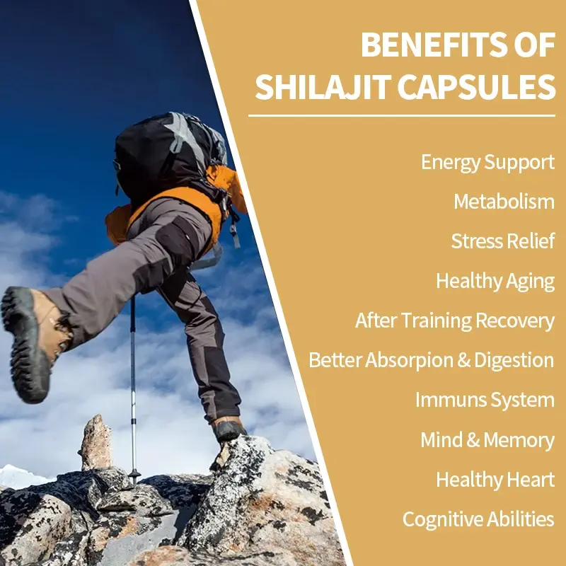 Shilajit Capsule Original Pure Himalayan Fulvic Acid & Trace Minerals Energy Endurance Immune Support 600mg Dietary Supplement