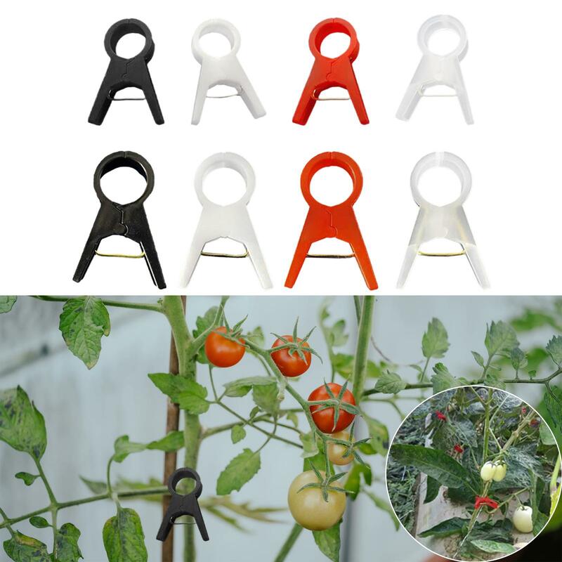 100x Garten pflanzen clips, Gitter clips Gurken gemüse Tomaten reben blume