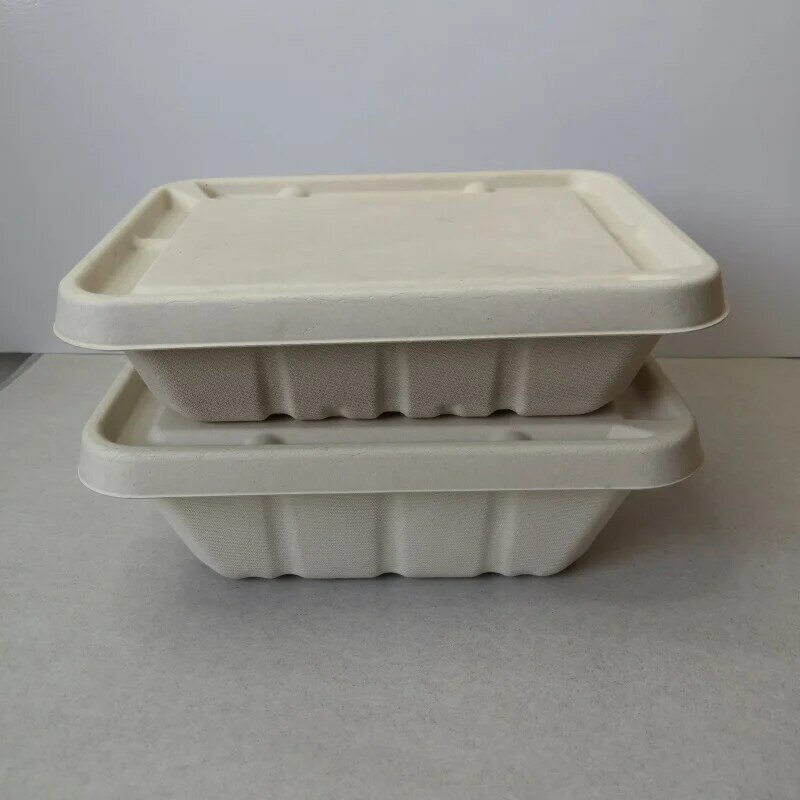 Fiambrera de pulpa de fibra de caña de azúcar biodegradable, producto personalizado, caja de almuerzo con tapa