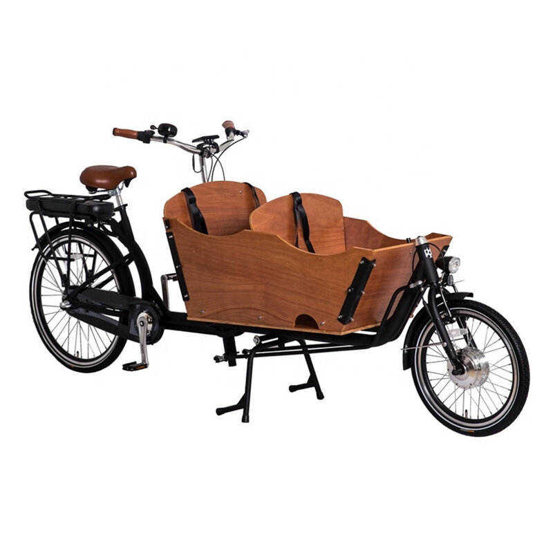 pets cargo bike 2 wheel electric bicycle family cycle for taking kids 3 seats
