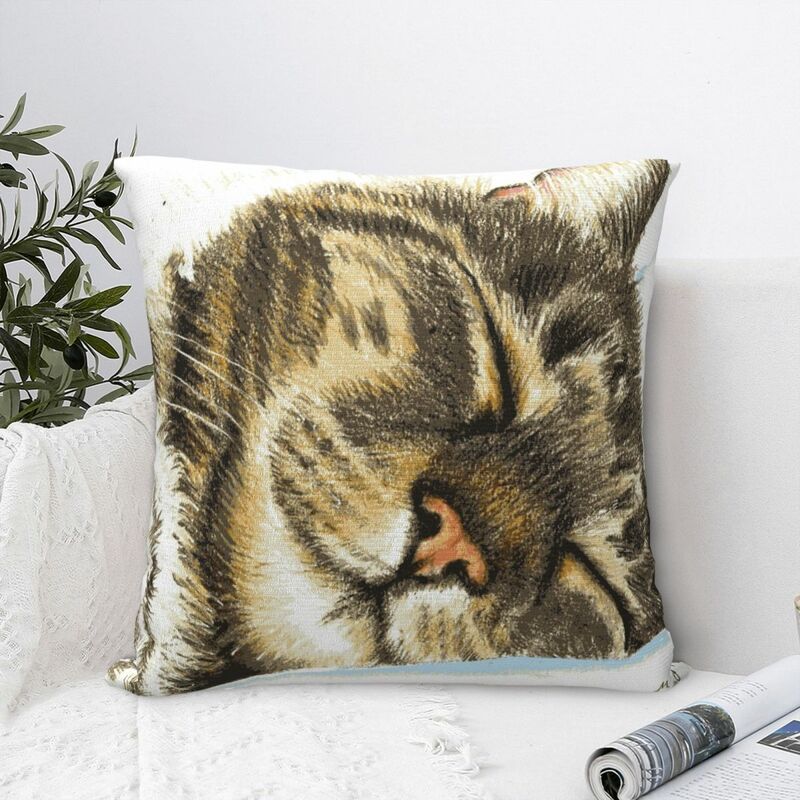 Sleeping Tabby Cat Square federa fodera per cuscino cuscino in poliestere Decor Comfort cuscino per soggiorno di casa