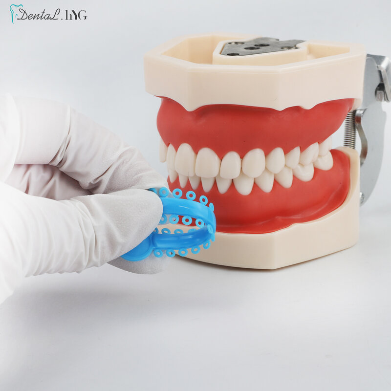 1 paczka = 1040 sztuk/40Sticks Dental ortodontyczne elastyczne podwiązki zespoły dla wsporniki szelki kolorowe do wyboru