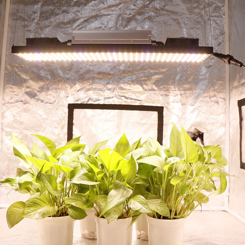 Sam-sung LM301H V5 Quantum Tech lampu tumbuh LED, 240W 480W 720W spektrum penuh lampu Phyto untuk tanaman dalam ruangan hidroponik bunga sayuran
