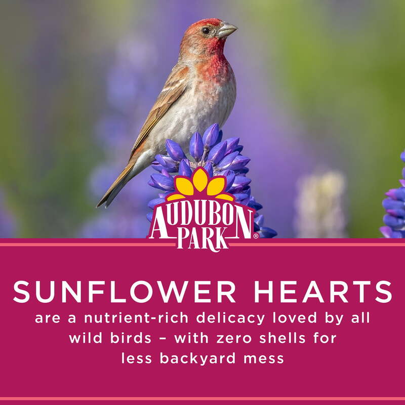 Audubon Park bunga matahari hati makanan burung liar, kering, 1 hitungan per Pak, 15 lbs.
