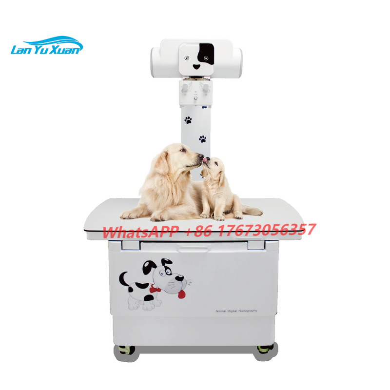 Máquina veterinária do raio X com cama do exame de Xray, preço de fábrica competitivo, 32kW, 400mA