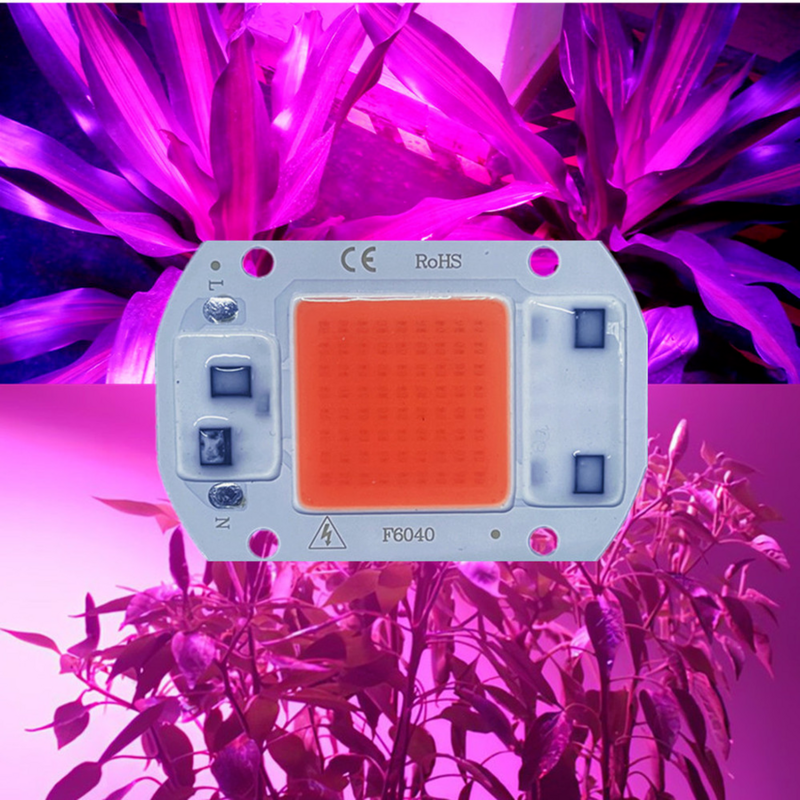 Lámpara de luz Led COB para cultivo, Chip de espectro completo de 220V, 20W, 30W, 50W, 380-780nm, Phyto Lamp para plántulas de plantas de interior, alta calidad