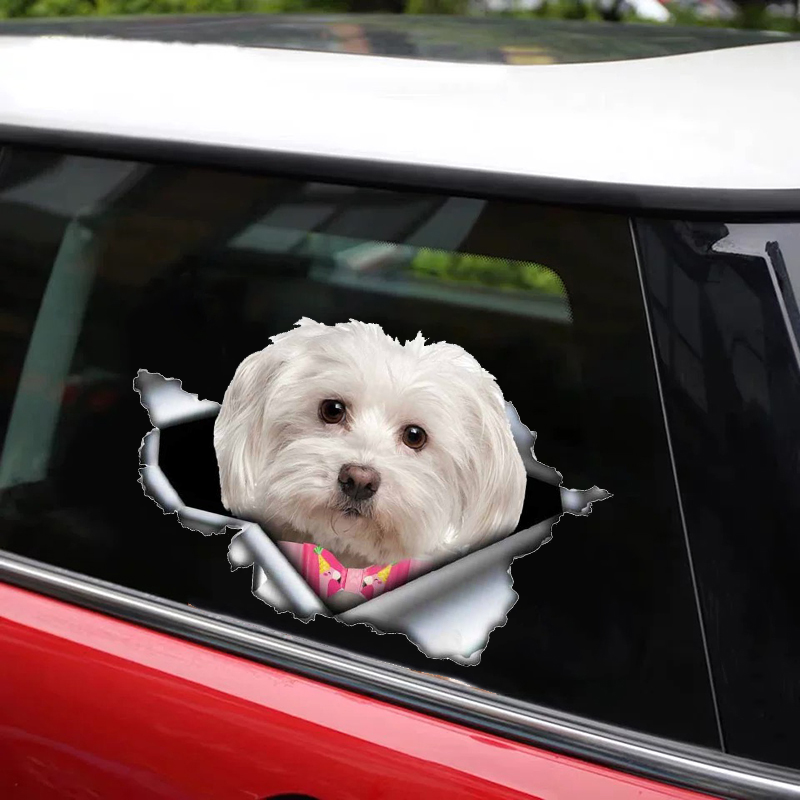 3d auto-adesivo vinil decalque bonito cão maltês carro adesivo à prova dwaterproof água decorações de automóveis no pára-choques janela traseira portátil