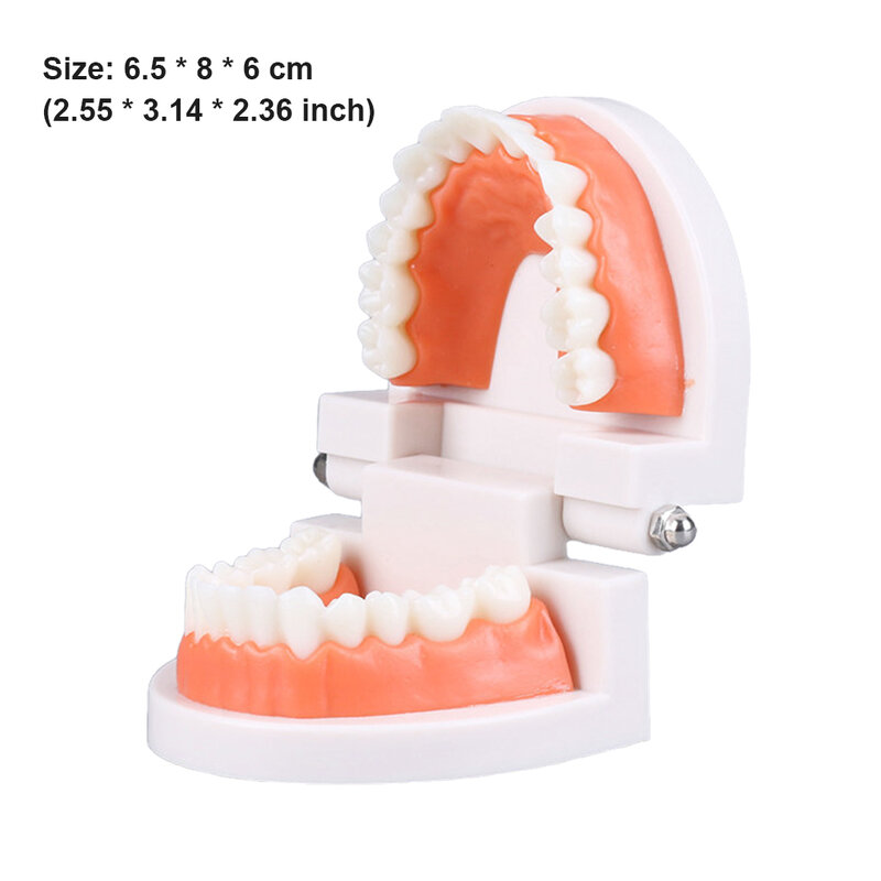 Children Education Toys Simulation Brushing Tooth Parent-child Interactive Teaching Aids Accessory Kindergarten