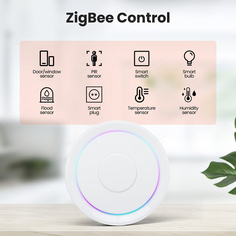 HomeKit – passerelle ZigBee Hub pour maison connectée, contrôleur à distance, Tuya Smart Life APP, fonctionne avec Alexa Google Apple Home
