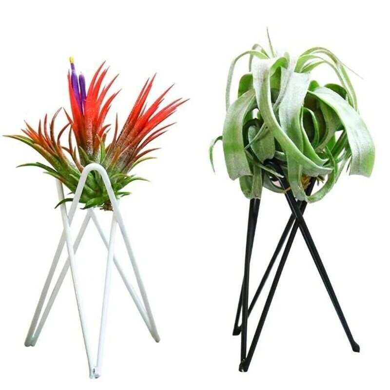 1 Stück Luft Pflanzen halter Metall Blumentopf stehen geometrische Eisen Tillandsia Display Kunst