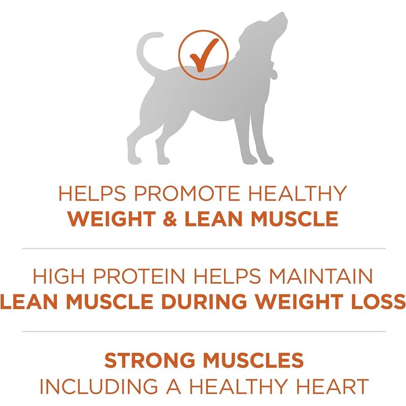 Plus peso saludable comida para perros con alto contenido de proteínas fórmula seca-40 lb. Bolsa