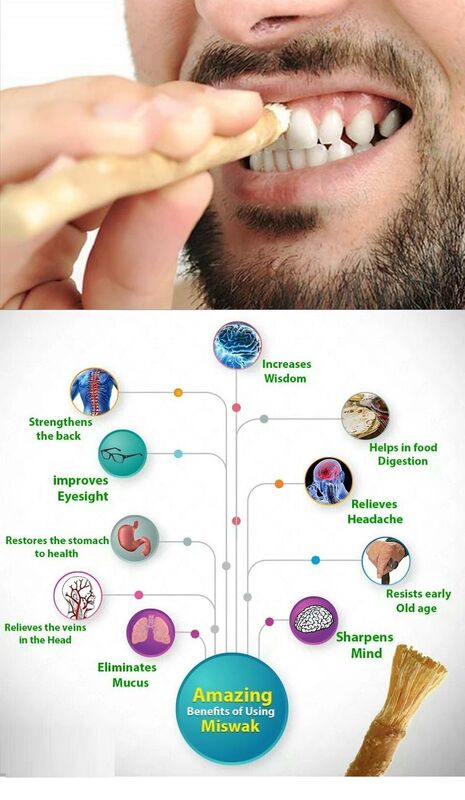 Miswak-cepillo de dientes Natural tradicional, blanqueador Dental vegano, respetuoso con el medio ambiente, Arak Siwak