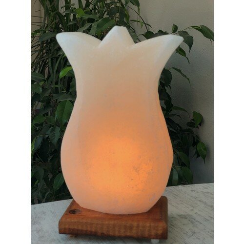 Natural Natural Rock Salt Lamp-Tulip!! * FAST DELIVERY *!! FROM TURKEY