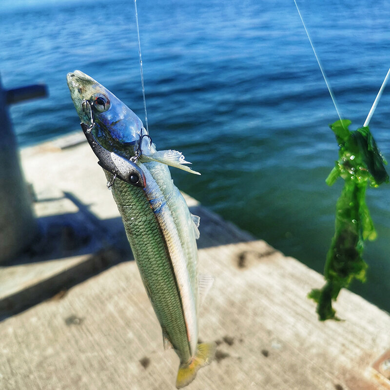 TSURINOYA โลหะ VIB Fishing Lure AJING Trout Hard เหยื่อ PIED FALCONET 34.5Mm 3.5G Rochfish Barracuda Pike ฤดูหนาวตกปลา tackle