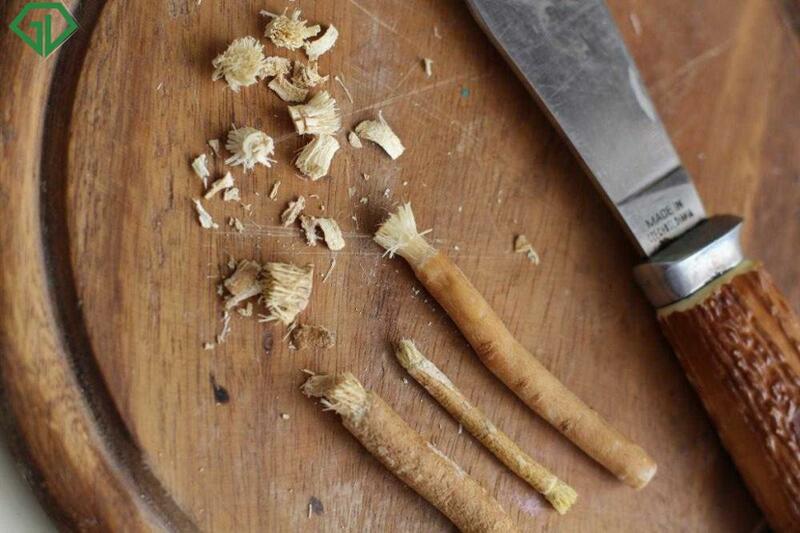 Brosse à dents douce naturelle fraîche 12/24/48 pièces costume miswak miswak siwak arak miswaak naturel arbre extrait voyage ultra doux longue