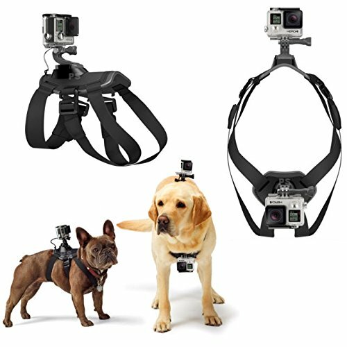 Harness chest dog support compatible sports cameras Xiaomi Go Pro Yi SJCAM