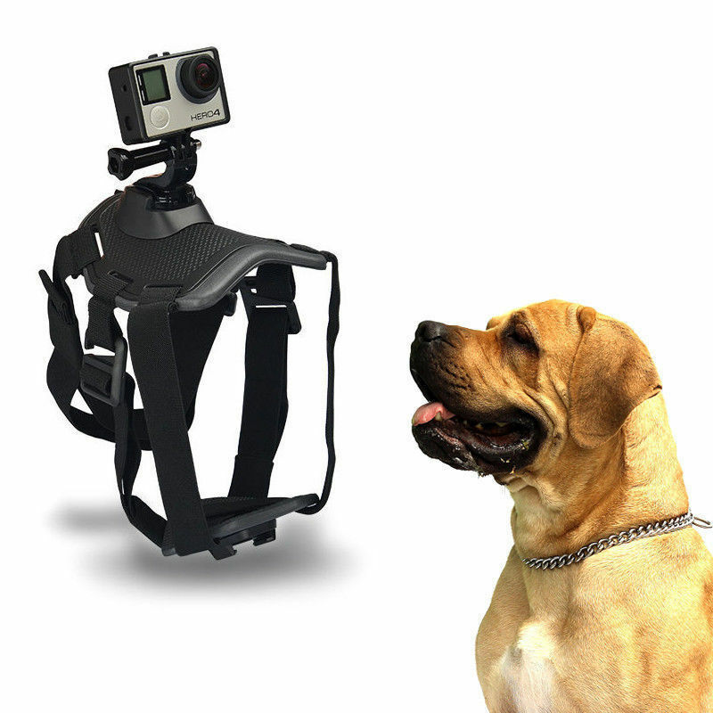 Harness chest dog support compatible sports cameras Xiaomi Go Pro Yi SJCAM