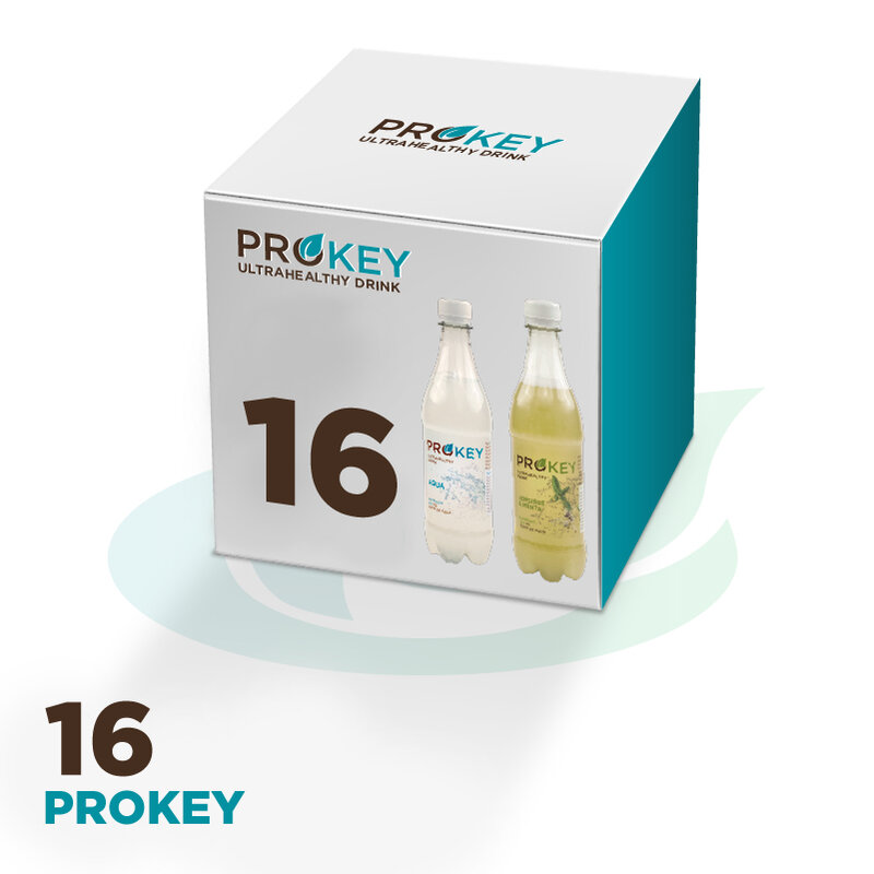 16 prokey prokey/kombucha, escolha o sabor (16x500ml)