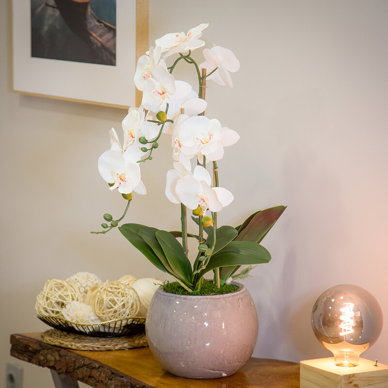Orquidea Artificial, Altura 65 cm, Phalaenopsis, Maceta de Cerámica, Ideal para Decoración de Hogar, Tacto Natural
