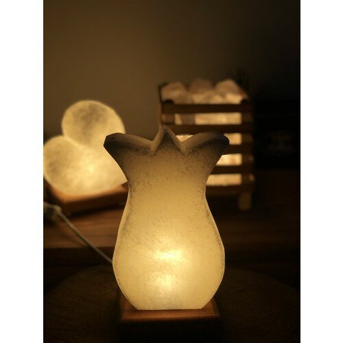 Natürliche Natürliche Steinsalz Lampe-Tulpe!! * SCHNELLE LIEFERUNG *!! AUS DER TÜRKEI
