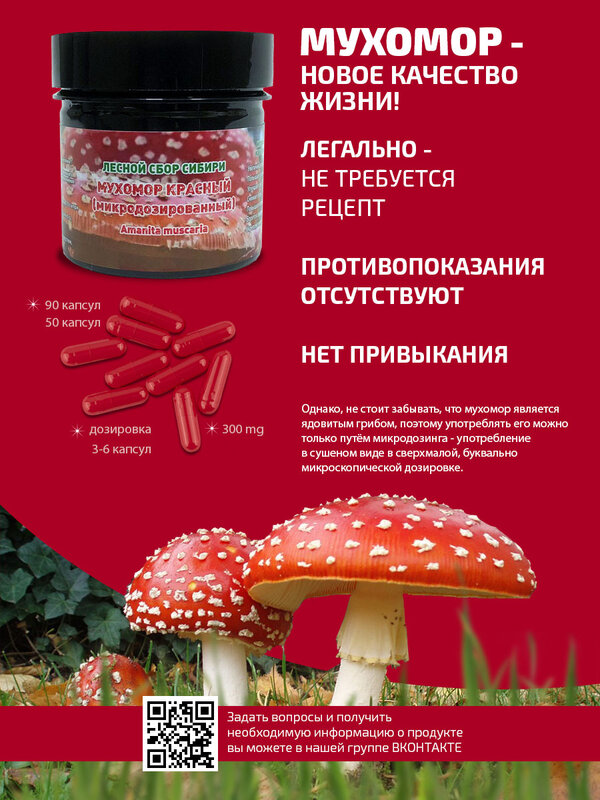Muhomore red mushroom suszone mikrodozowanie muhomore 90 kapsułek 0,3G (27g) kolekcja lasów uralu syberii producent Chaga food