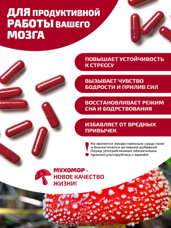 Muhomore สีแดงเห็ดแห้ง Microdosing Muhomore 90แคปซูล0,3G (27G) forest คอลเลกชัน Urals ของ Siberia ผู้ผลิต Chaga อาหาร
