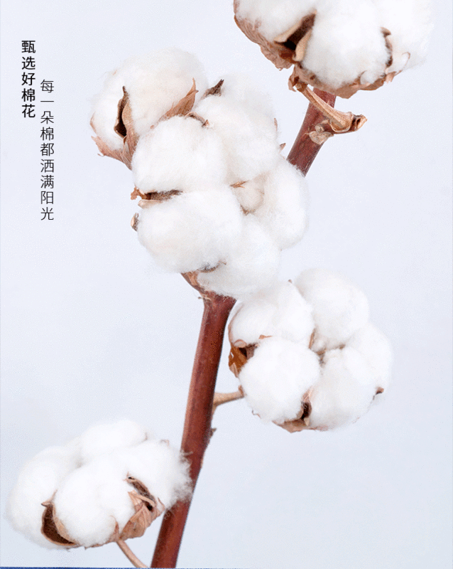 Jingsai Cotton Cổ Rộng Tay Ngắn Lưng Lớp Quần Áo Polo