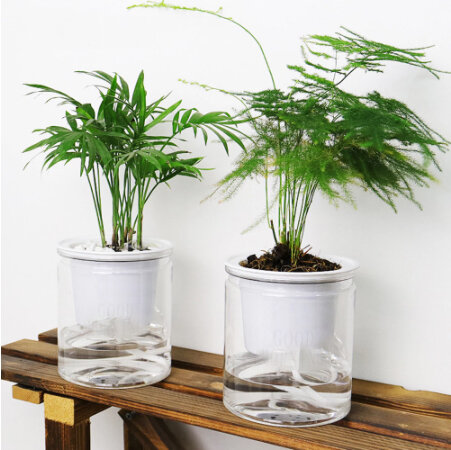 1 X vaso da fiori pigro autoirrigante assorbimento d'acqua automatico acquacoltura succulenta vaso da fiori idroponico in plastica rotonda trasparente