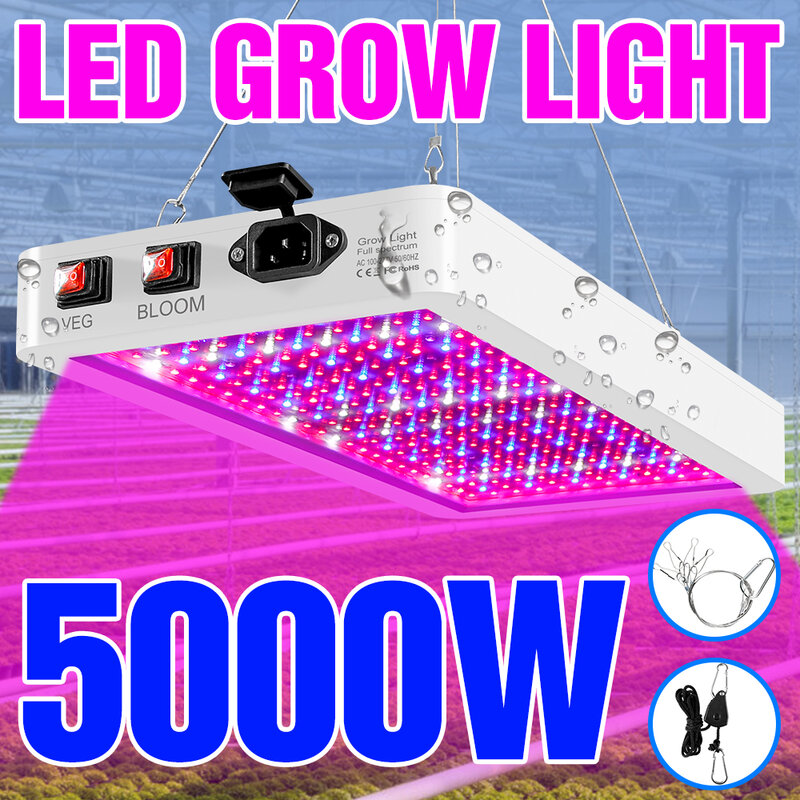 Luz LED de espectro completo para cultivo de plantas, Bombilla hidropónica de 4000W y 5000W, lámpara Phyto impermeable para caja de crecimiento de plantas, 220V