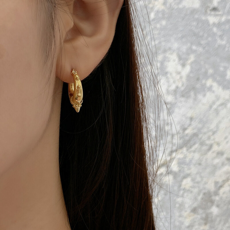 Tarnish Free 316L Stainless Steel Hoop Earrings for Women Popular Ladies Minimalist Circle Gold Earring Hip Hop Jewelry