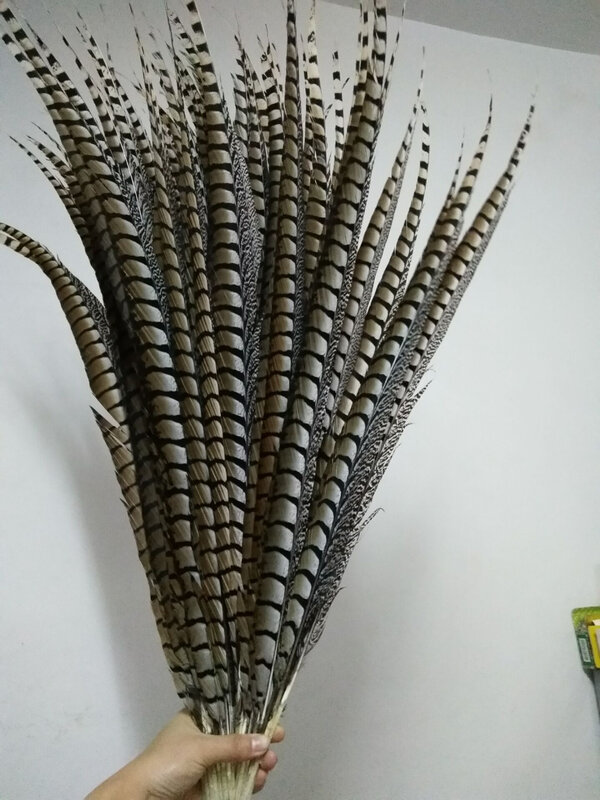 50pcs/lot Lady Amherst Pheasant Tail Feathers 36-40 Inche/90-100cm Feathers for Crafts Carnival Party Costumes Decoration