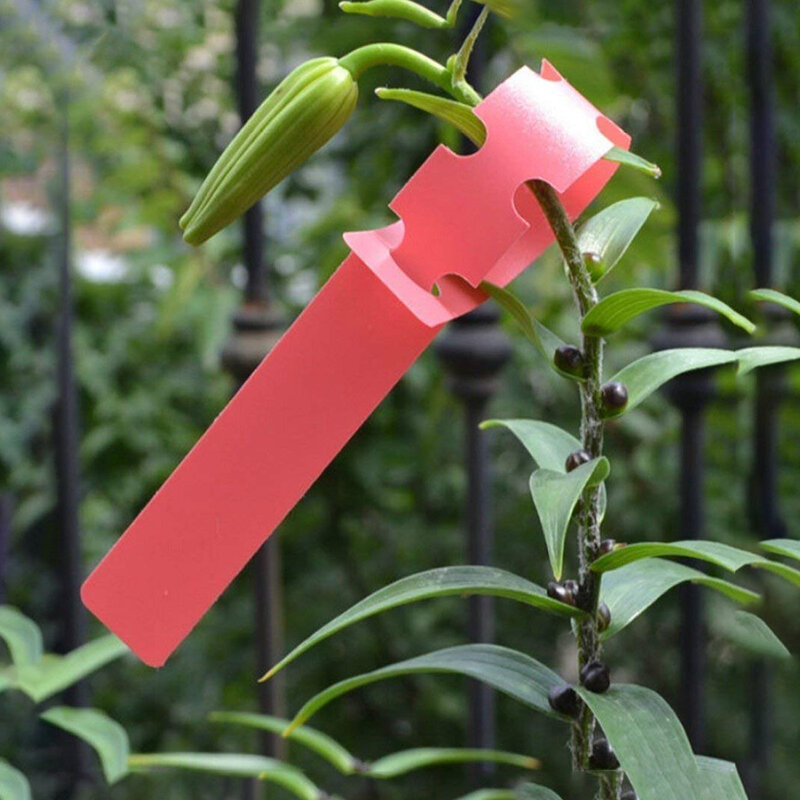 Marqueur de plante en plastique PVC 21x2cm, étiquette de plante pour anneau de jardin, étanche et réutilisable