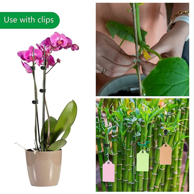 Set di supporti per piante da 150 pezzi con 50 bastoncini di supporto per piante 50 clip di supporto per piante e 50 clip per orchidee