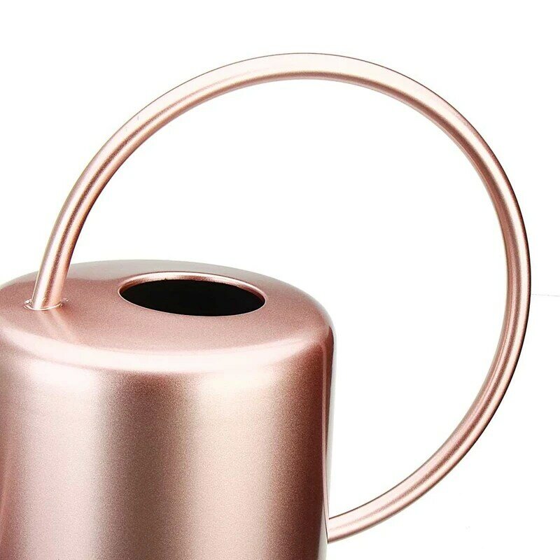 1300Ml Watering Can Metal Garden Stainless Steel for Home Flower Water Bottle Easy Use Handle for Watering Plant Long Mouth Gard