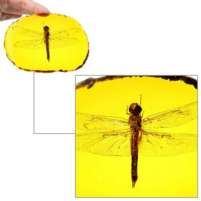 Pendentif de spécimen d'insecte d'ambre artificielle, ornement en pierre d'ambre, cadeaux de Collection, 1 pièce