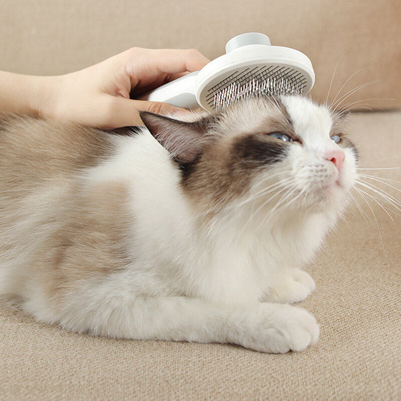 Peine para perros y gatos, productos de limpieza y belleza, cepillo de masaje de aseo con aguja especial para pelo de mascotas