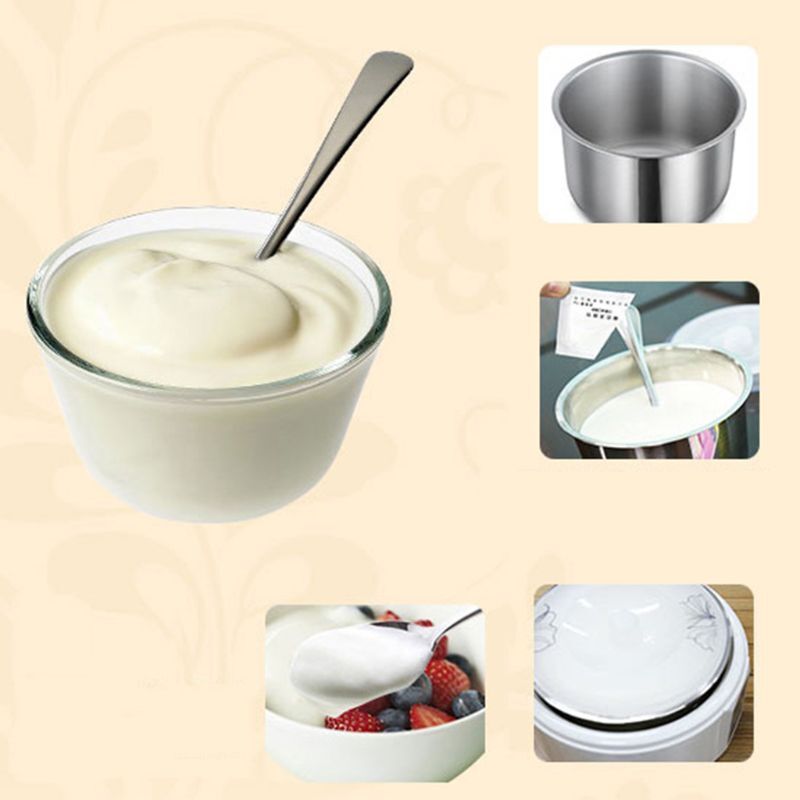 Inicio de levadura de yogur Natural, 5 tipos de probióticos, polvo de fermentación de Lactobacillus hecho en casa, fabricante casero de cocina