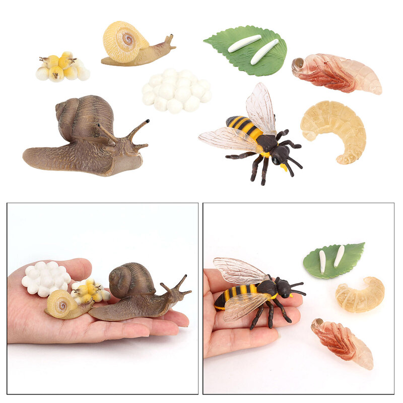 Brinquedo infantil realista, brinquedo educacional para crianças pequenas, insetos caracol e abelha, modelos de crescimento