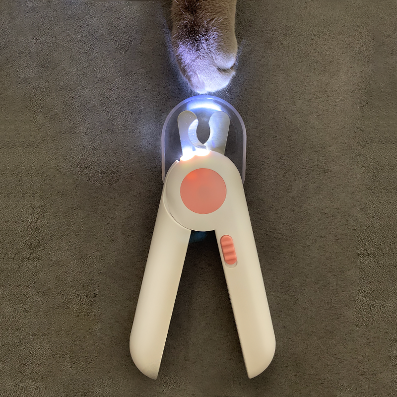 Coupe-ongles professionnel pour animaux de compagnie, ciseaux pour chiens et chats, avec lumière LED