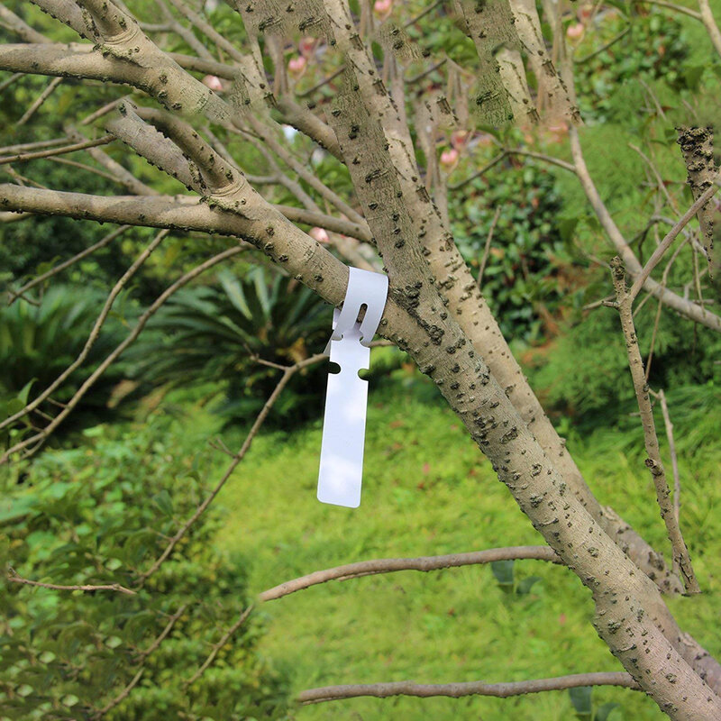 Rotuladores de plástico PVC para plantas, marcadores para plantas con etiqueta de plantas de anillo de jardín, 21x2cm, impermeables y reutilizables