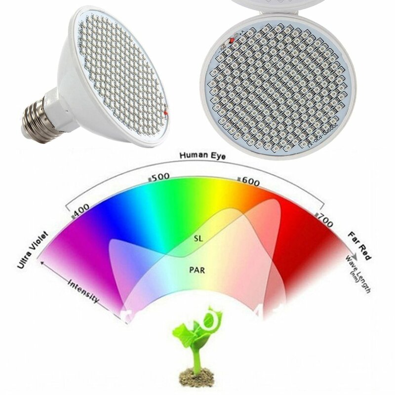 Lampe LED 2835 pour culture de plantes d'intérieur, éclairage pour culture de plantes, Fruits et fleurs