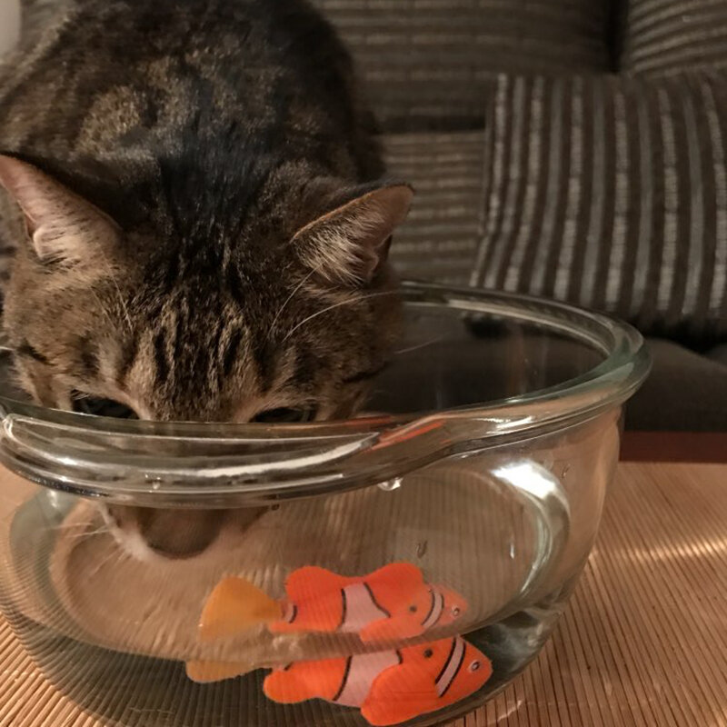MPK Mainan Kucing Bergetar Ikan Bertenaga Baterai, Kucing Bermain Mainan Kucing Ikan Badut Ikan Angelfish Banyak Warna Tersedia