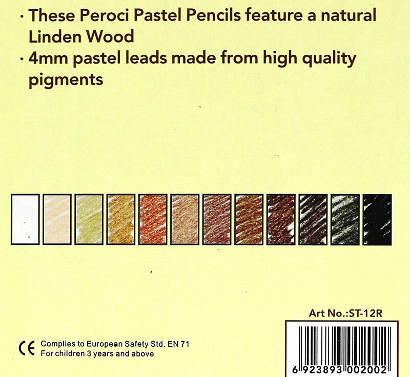 Profissional 12 pçs pastel lápis 4mm pastel chumbo madeira natural tons de pele lápis coloridos para desenho sombra escola arte suprimentos
