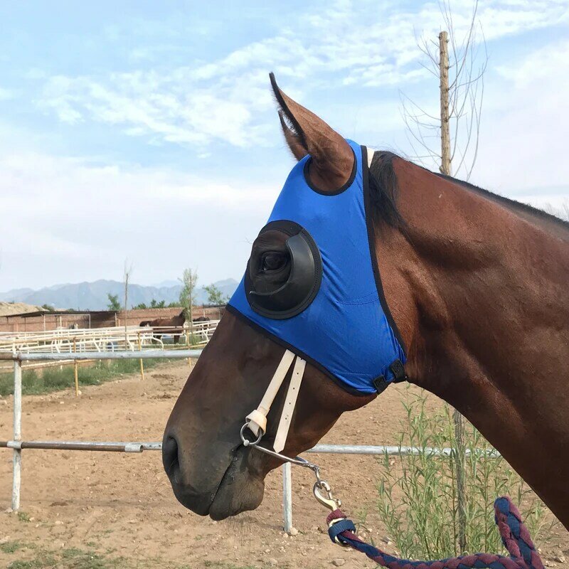 Máscara de olho à prova de vento, resistente ao vento, óculos de corrida, com máscara de malha, cobertura para cabeça de cavalo