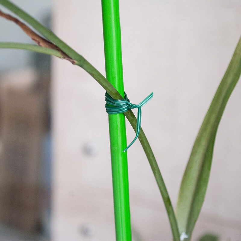 100m 50m cabo de jardim de náilon laços fita de laço de fio de energia fita de laço de cabo de flor cintas multifunções prendedor reutilizável fita mágica