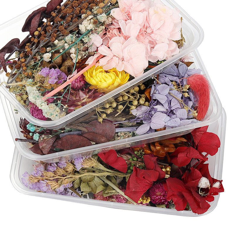 1 caixa de mistura aleatória flores secas decoração natural adesivo floral para beleza arte do prego decalques resina cola epoxy molde jóias fazendo diy